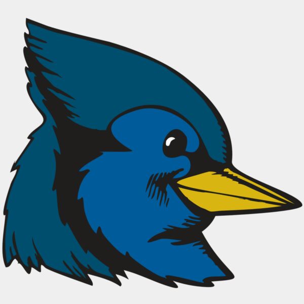 BAW BLUEJAY 07 RC Thumbnail