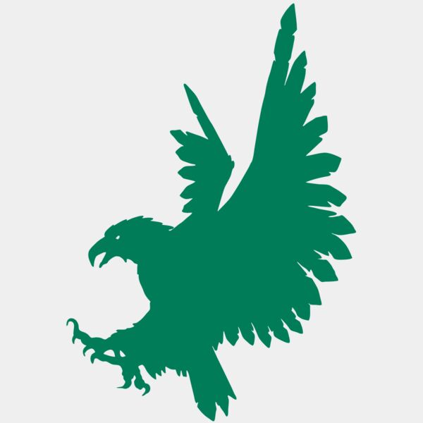 AR EAGLE 88 RC Thumbnail