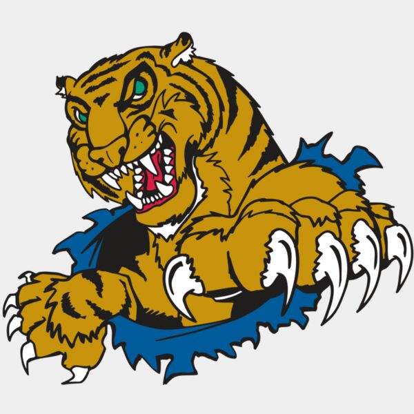 AR TIGER 69 RC Thumbnail